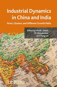Industrial Dynamics in China and India - - E-Book