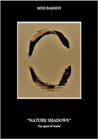 "Nature shadows" The spirit of winter - Miss Barson - E-Book