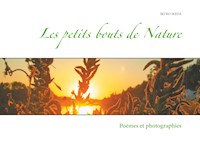 Les petits bouts de Nature - Ikuko Ikeda - E-Book
