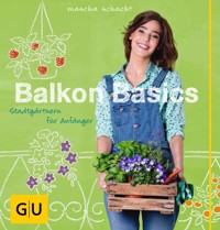 Balkon Basics - Mascha Schacht - E-Book
