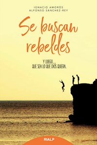 Se buscan rebeldes - Ignacio Amorós - E-Book
