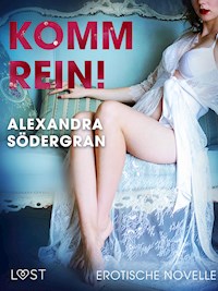 Komm rein! Erotische Novelle - Alexandra Södergran - E-Book