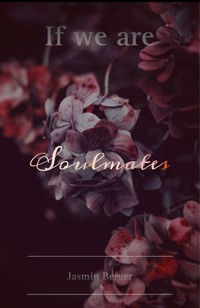 If we are Soulmates - Jasmin Berger - E-Book