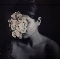 Hybrid Photography - Danny Bittencourt - E-Book