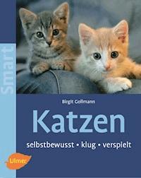 Katzen - Birgit Gollmann - E-Book