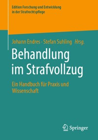 Behandlung im Strafvollzug -  - E-Book