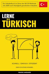 Lerne Türkisch - Schnell / Einfach / Effizient - Pinhok Languages - E-Book