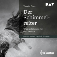 Der Schimmelreiter (Ungekürzt) - Theodor Storm - Hörbuch