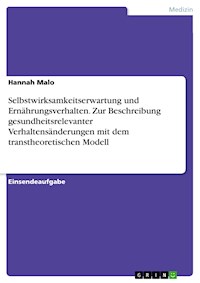 Selbstwirksamkeitserwartung und Ernährungsverhalten. Zur Beschreibung gesundheitsrelevanter Verhaltensänderungen mit dem transtheoretischen Modell - Hannah Malo - E-Book