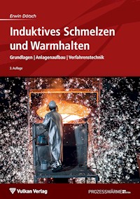 Induktives Schmelzen und Warmhalten - Erwin Dötsch - E-Book