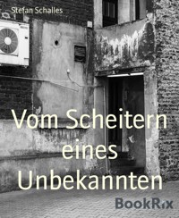 Vom Scheitern eines Unbekannten - Stefan Schalles - E-Book
