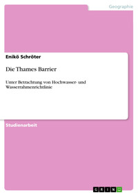 Die Thames Barrier - Enikö Schröter - E-Book