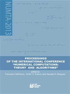Proceedings of the international conference "“NUMERICAL COMPUTATIONS: THEORY AND ALGORITHMS” - Yaroslav D. Sergeyev - E-Book