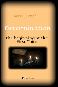 Determination - the beginning of the First Time - Linton Buckler - E-Book