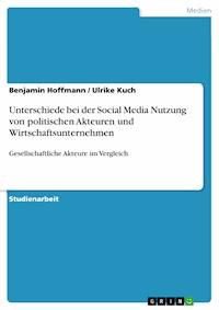 Unterschiede bei der Social Media Nutzung von politischen Akteuren und Wirtschaftsunternehmen - Benjamin Hoffmann - E-Book