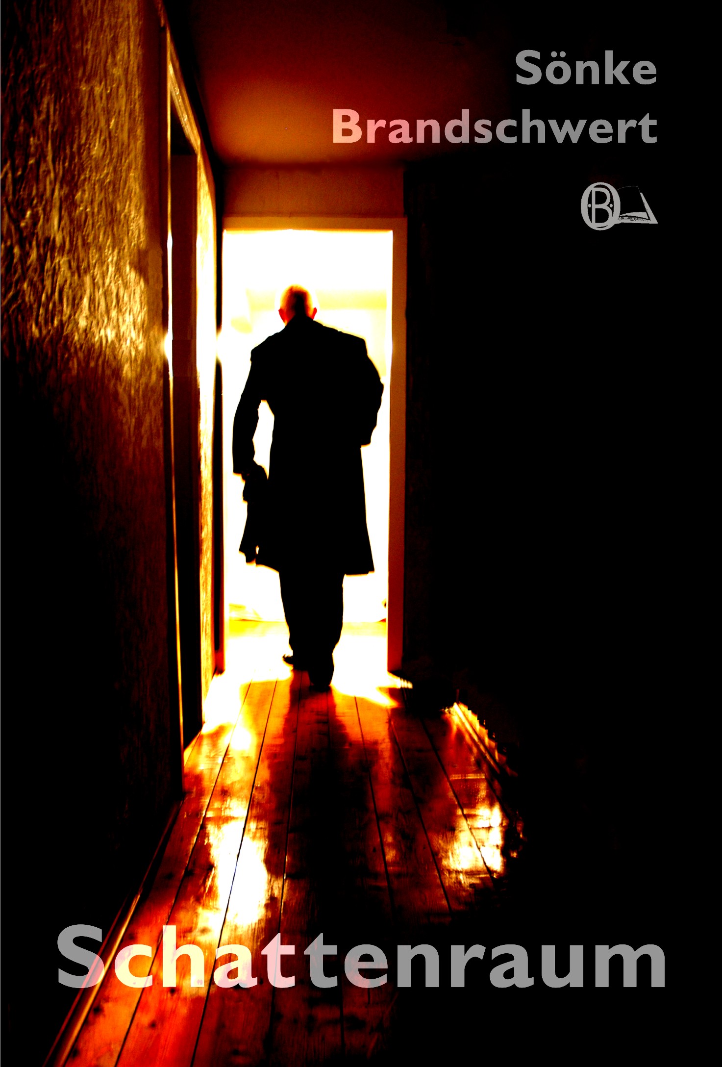 Schattenraum - Sönke Brandschwert - E-Book