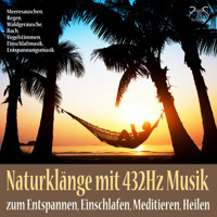 Naturklänge mit 432Hz Musik zum Entspannen, Einschlafen, Meditieren, Heilen - Meeresauschen, Regen, Waldgeräusche, Bach, Vogelstimmen, Einschlafmusik, Entspannungsmusik - Torsten Abrolat - Hörbuch
