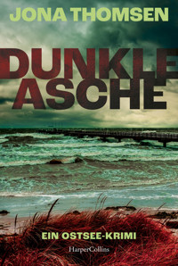 Dunkle Asche - Jona Thomsen - E-Book