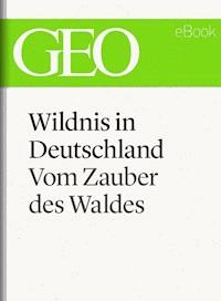 Wildnis in Deutschland: Vom Zauber des Waldes (GEO eBook Single) -  - E-Book