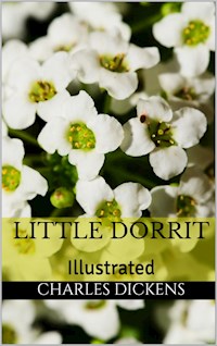 Little Dorrit - Illustrated - Charles Dickens - E-Book