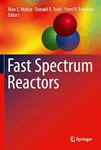 Fast Spectrum Reactors -  - E-Book