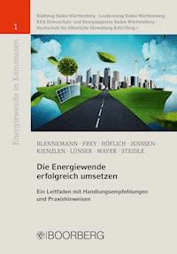 Die Energiewende erfolgreich umsetzen - Thilo Blennemann - E-Book