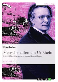 Menschenaffen am Ur-Rhein - Ernst Probst - E-Book