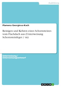 Reinigen und Kehren eines Schornsteines vom Flachdach aus (Unterweisung Schornsteinfeger / -in) - Plamena Georgieva-Koch - E-Book