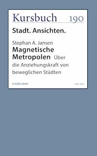 Magnetische Metropolen - Stephan A. Jansen - E-Book