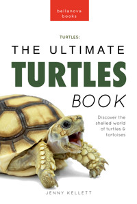 Turtles The Ultimate Turtles Book - Jenny Kellett - E-Book