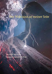 Der Wahnsinn an meiner Seite - Peter S. Fischer - E-Book