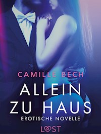 Allein zu Haus - Erotische Novelle - Camille Bech - E-Book