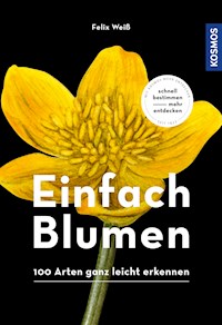 Einfach Blumen - Felix Weiß - E-Book
