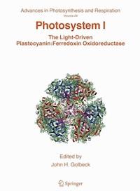 Photosystem I -  - E-Book