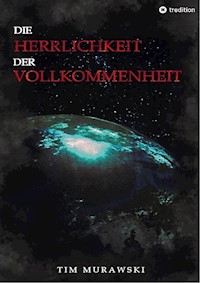 Die Herrlichkeit der Vollkommenheit - Tim Murawski - E-Book