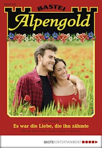 Alpengold 216 - Rosi Wallner - E-Book