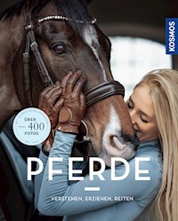 Pferde verstehen, erziehen und reiten - Silke Behling - E-Book