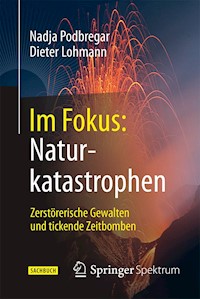 Im Fokus: Naturkatastrophen - Nadja Podbregar - E-Book