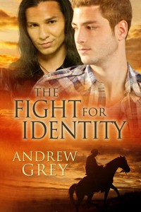 The Fight for Identity - Andrew Grey - E-Book