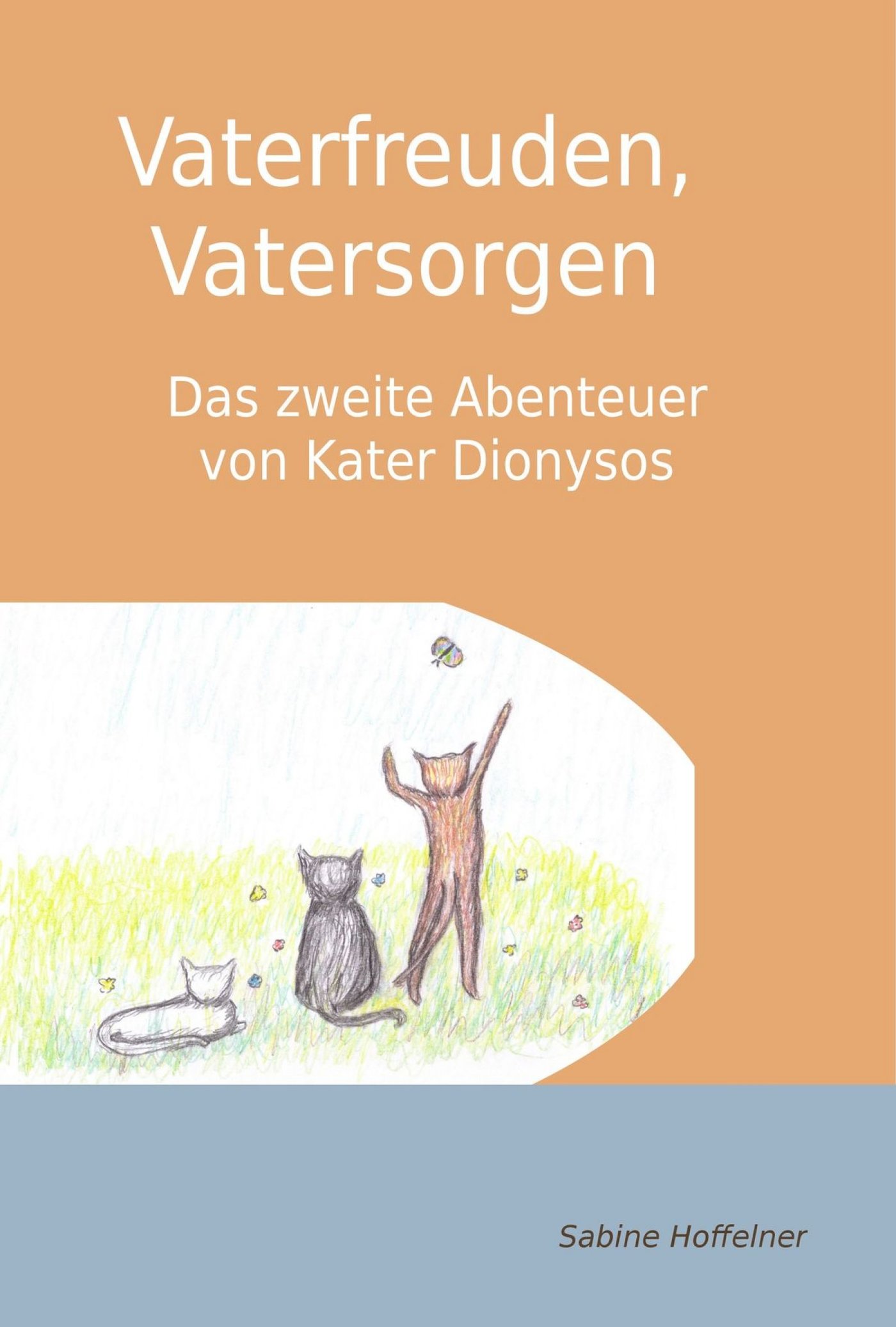 Vaterfreuden, Vatersorgen - Sabine Hoffelner - E-Book