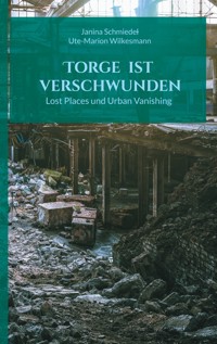 Torge ist verschwunden - Janina Schmiedel - E-Book