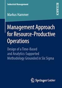 Management Approach for Resource-Productive Operations - Markus Hammer - E-Book