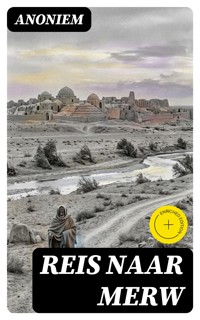 Reis naar Merw - Anoniem - E-Book