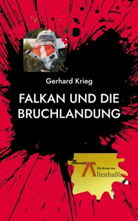 Falkan und die Bruchlandung - Gerhard Krieg - E-Book