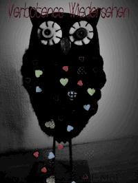 Verbotenes Wiedersehen - Frida Mai - E-Book