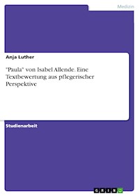 "Paula" von Isabel Allende. Eine Textbewertung aus pflegerischer Perspektive - Anja Luther - E-Book
