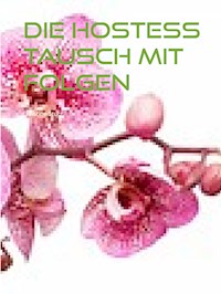 Die Hostess - Tausch mit Folgen - Christine Stutz - E-Book
