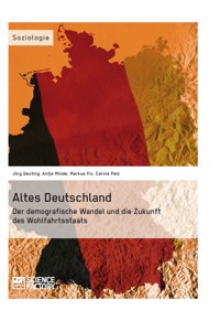 Altes Deutschland. Der demografische Wandel und die Zukunft des Wohlfahrtsstaats - Joerg Geuting - E-Book