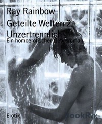Geteilte Welten 2 - Unzertrennlich - Ray Rainbow - E-Book