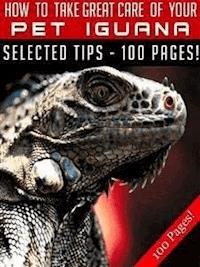 How To Take Great Care Of Your Pet Iguana - Jeannine Hill - E-Book